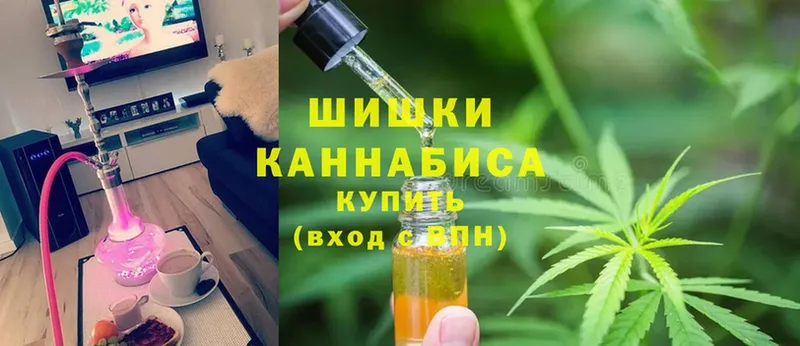 где купить наркоту  Кингисепп  Каннабис VHQ 